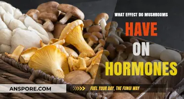 Mushrooms and Hormones: Unveiling Their Surprising Impact on Balance