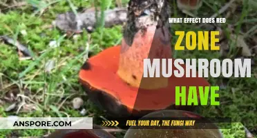 Red Zone Mushrooms: Unveiling Their Impact on Health and Environment
