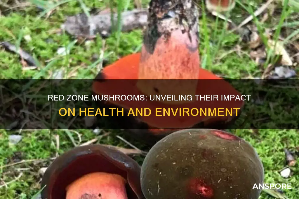 what effect does red zone mushrooms have