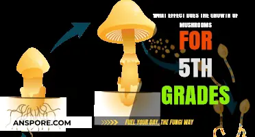 Mushroom Growth: A Fascinating 5th Grade Science Adventure