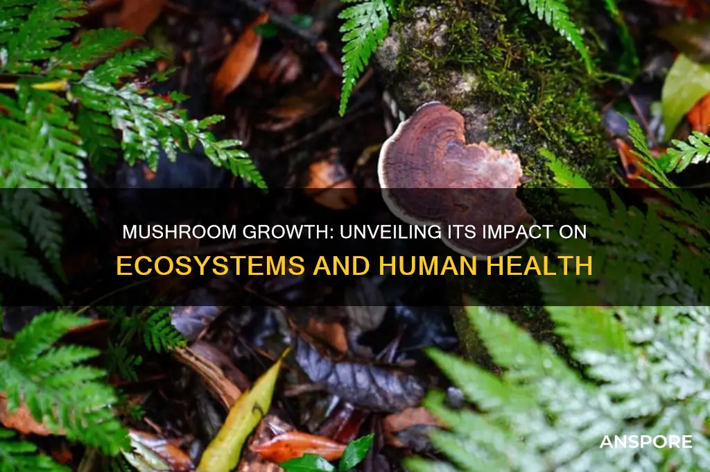 what effect does the growth of mushrooms