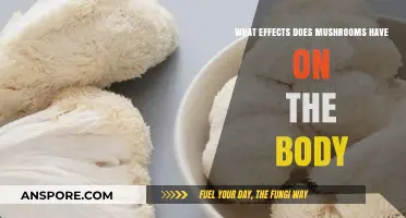 Exploring Mushrooms' Impact: How They Affect Your Body and Mind