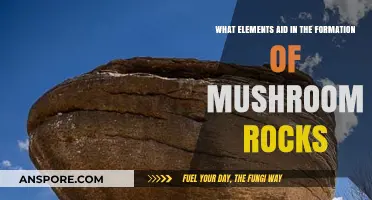 Unveiling the Key Elements Behind Mushroom Rock Formation