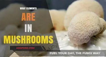 Mushroom Chemistry: Unlocking the Secrets of Nature's Elements