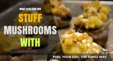 Creative Mushroom Stuffing Ideas: Beyond the Basics for Delicious Fillings