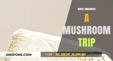 Enhancing Your Mushroom Trip: Simple Tricks for Intense Experiences