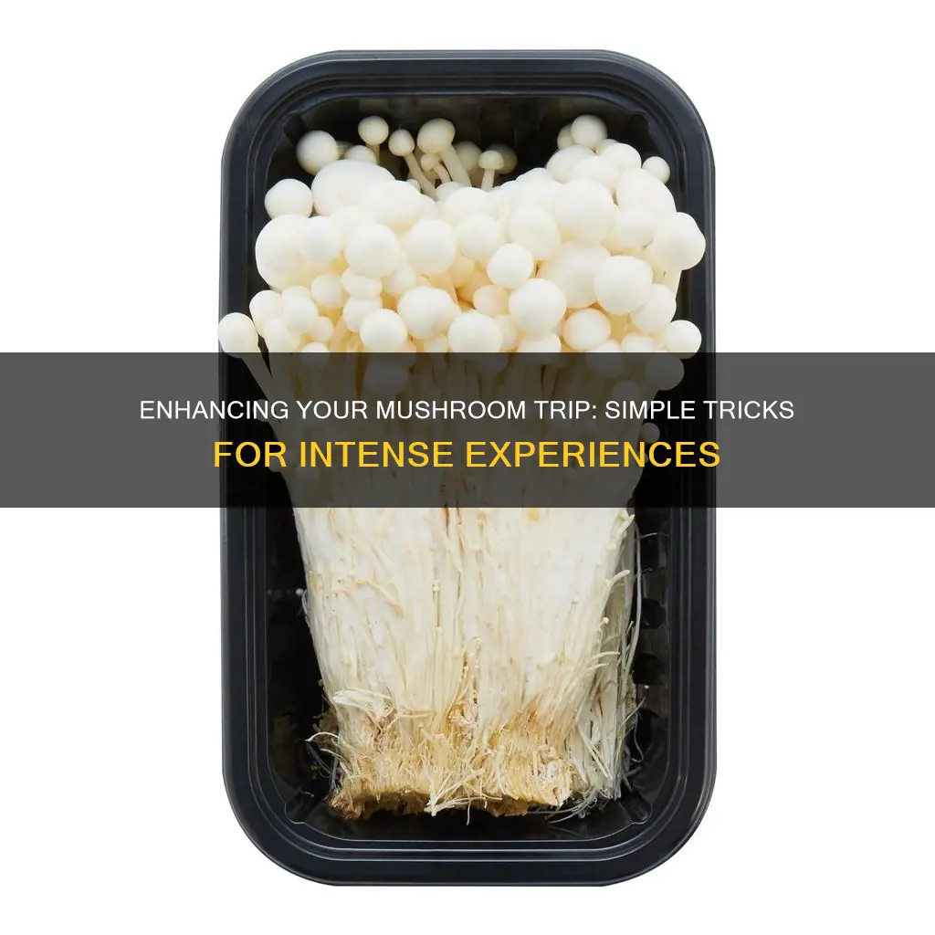 what enhances a mushroom trip