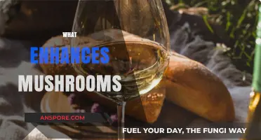 Unlocking Mushroom Magic: Enhancing Your Shroom Experience