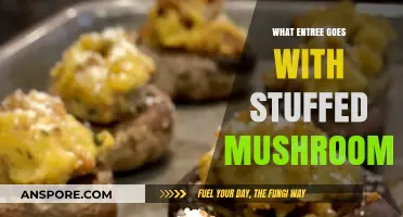 Perfect Pairings: Delicious Entrees to Complement Stuffed Mushrooms