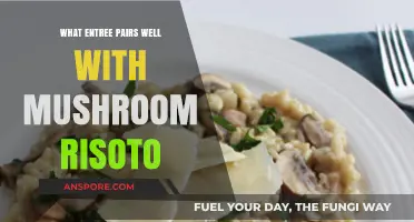Perfect Pairings: Delicious Entrees to Complement Creamy Mushroom Risotto