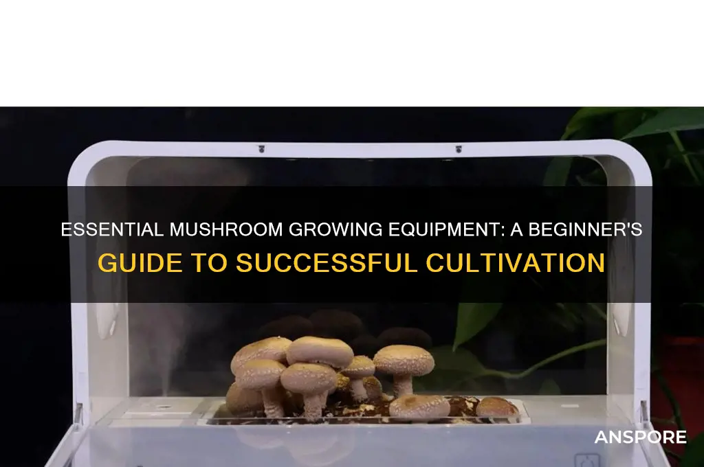 what equipment do i need to grow mushrooms