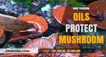 Protecting Mushrooms: The Power of Essential Oils