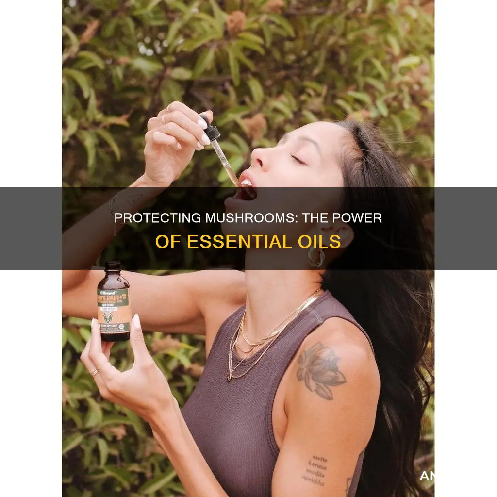 what essential oils protect mushrooms