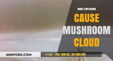 How Explosions Create Mushroom Clouds