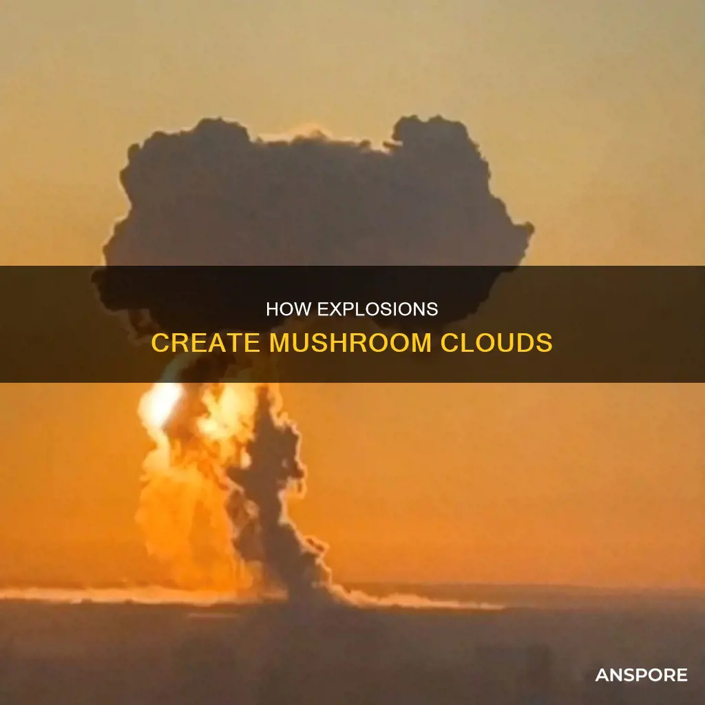 what explosion cause mushroom cloud