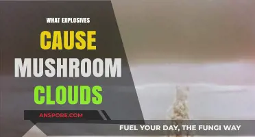 How Mushroom Clouds Form: Explosive Power