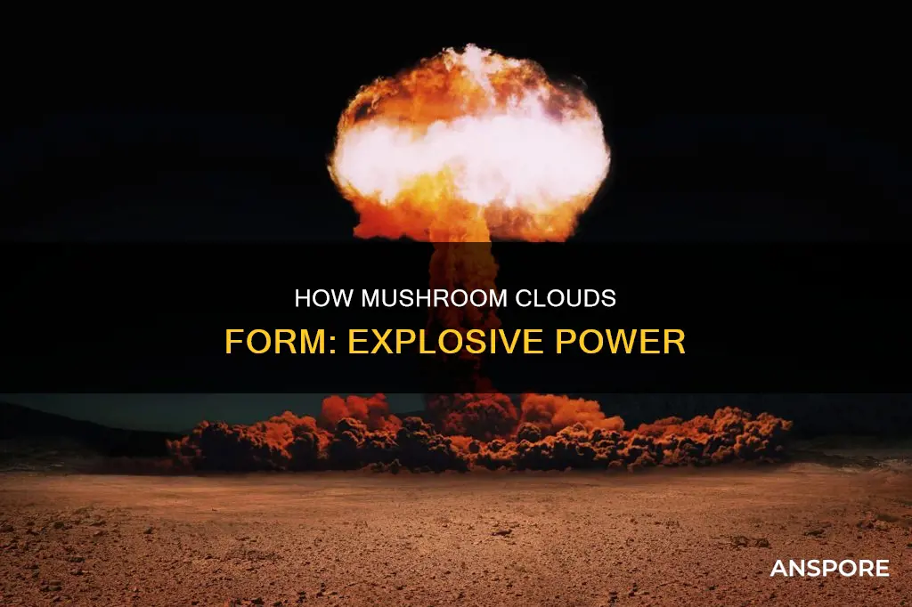 what explosives cause mushroom clouds