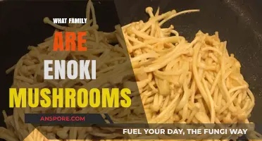 Enoki Mushrooms: A Unique Family of Fungi