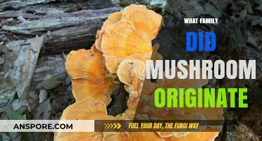 Mushrooms: A Family Tree of Ancient Origins