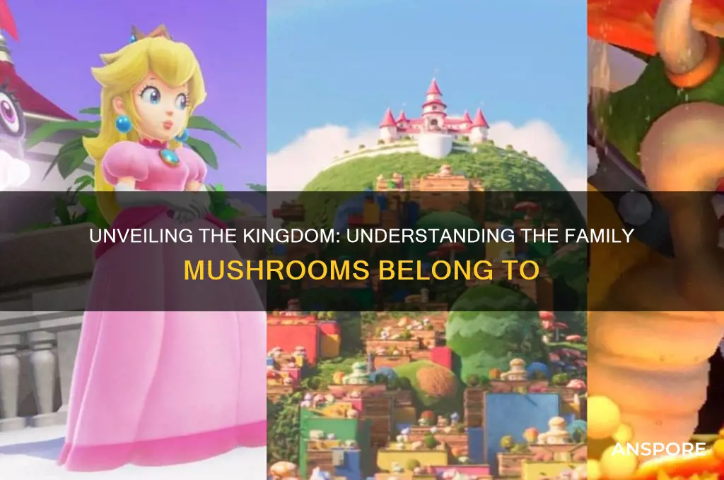 what family do mushrooms belong to