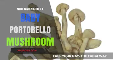 Baby Portobello Mushrooms: Unveiling Their Family and Culinary Potential