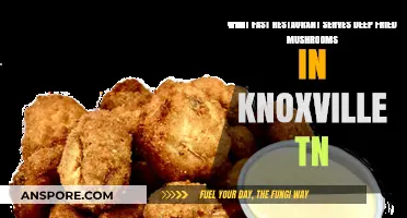 Knoxville's Best Deep Fried Mushrooms: A Fast Food Guide
