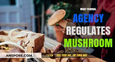 Mushroom Regulation: Which Federal Agency Governs This?