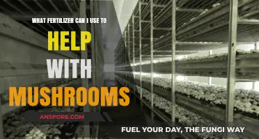 Boost Mushroom Growth: Best Fertilizers for Healthy, Abundant Harvests