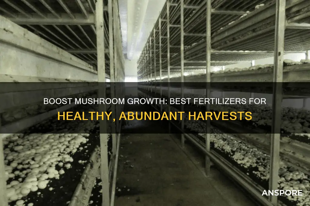 what fertilizer can i use to help with mushrooms