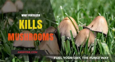 Destroy Mushrooms with Fertilizer: A Smart Solution
