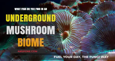 Exploring Underground Mushroom Biomes: Discovering Unique Fish Species Within