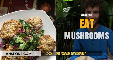 Do Fish Eat Mushrooms? Exploring Aquatic Diets and Fungal Consumption