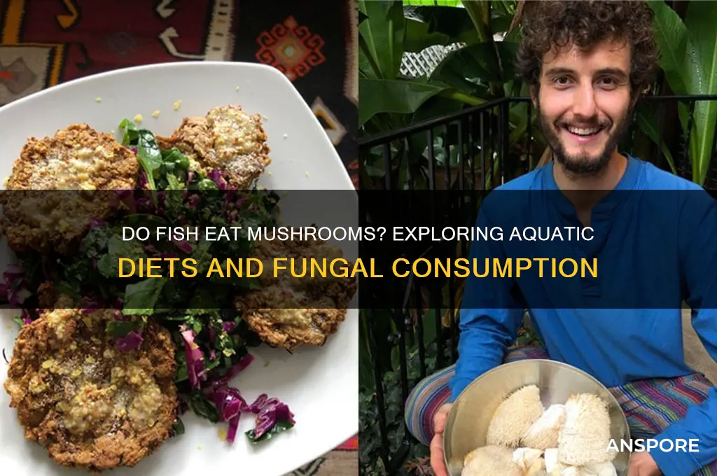 what fish eat mushrooms