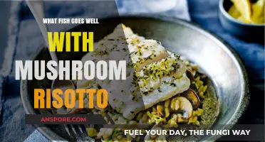 Perfect Pairing: Best Fish to Complement Creamy Mushroom Risotto