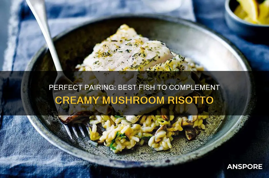 what fish goes well with mushroom risotto