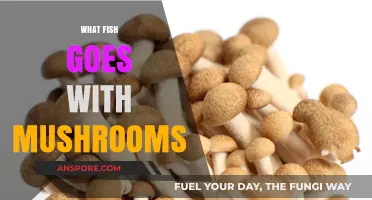 Mushroom and Fish: Perfect Pairing