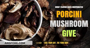 Rehydrated Porcini Mushrooms: Unlocking Earthy, Umami-Rich Flavors in Your Dishes