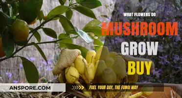 Discover the Surprising Flowers That Attract Mushroom Growth Nearby