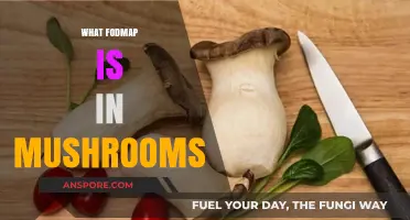 Mushrooms and FODMAPs: What You Need to Know