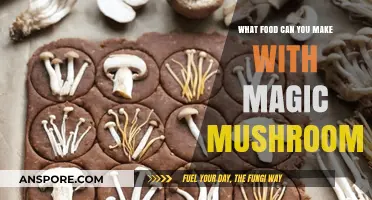 Culinary Adventures: Creative Recipes Using Magic Mushrooms Safely