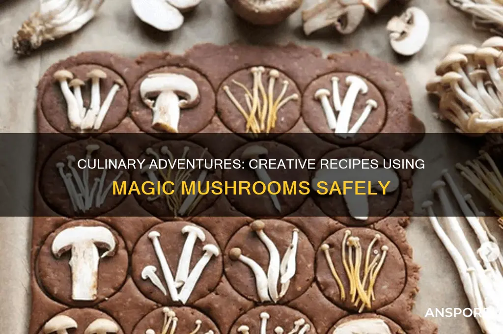 what food can you make with magic mushrooms
