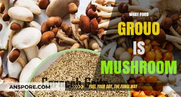 Mushrooms: Are They a Vegetable, Fruit, or Herb?