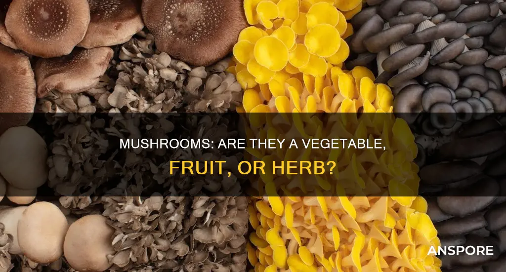 what food grouo is mushroom