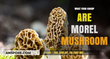 Morel Mushrooms: Unveiling Their Surprising Food Group Classification