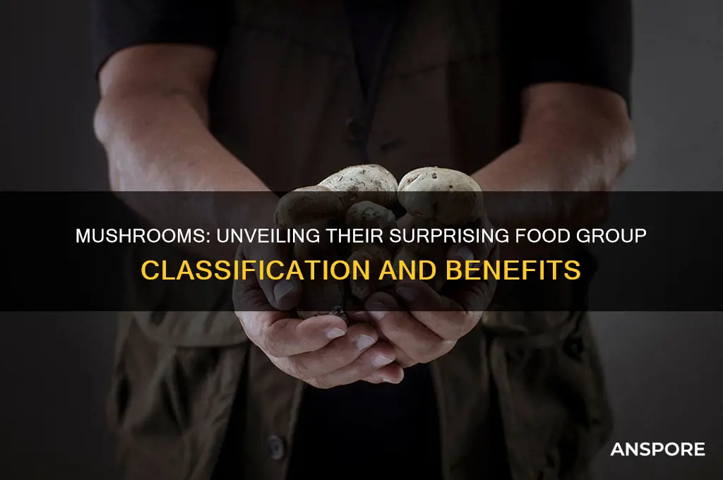 what food group are mushrooms in