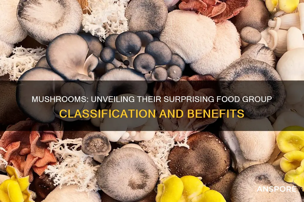 what food group are mushrooms part of