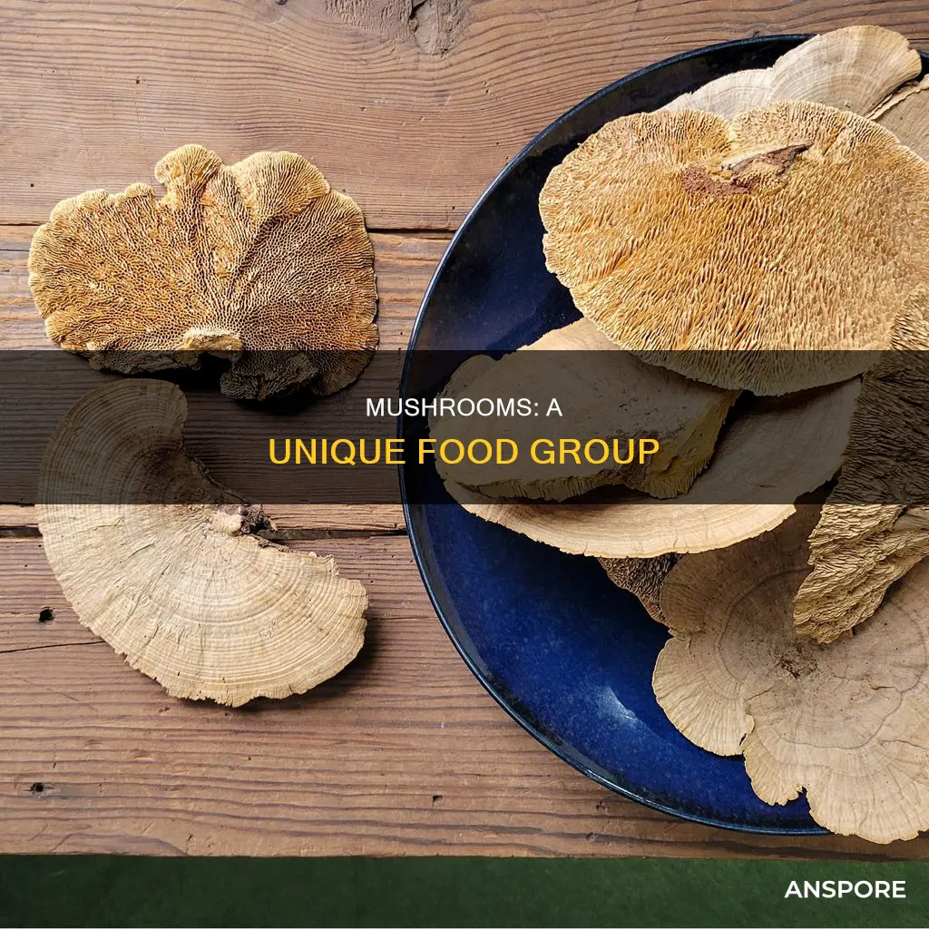 what food group are mushrooms
