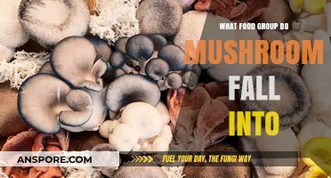 Mushrooms: Unveiling Their Surprising Food Group Classification and Benefits