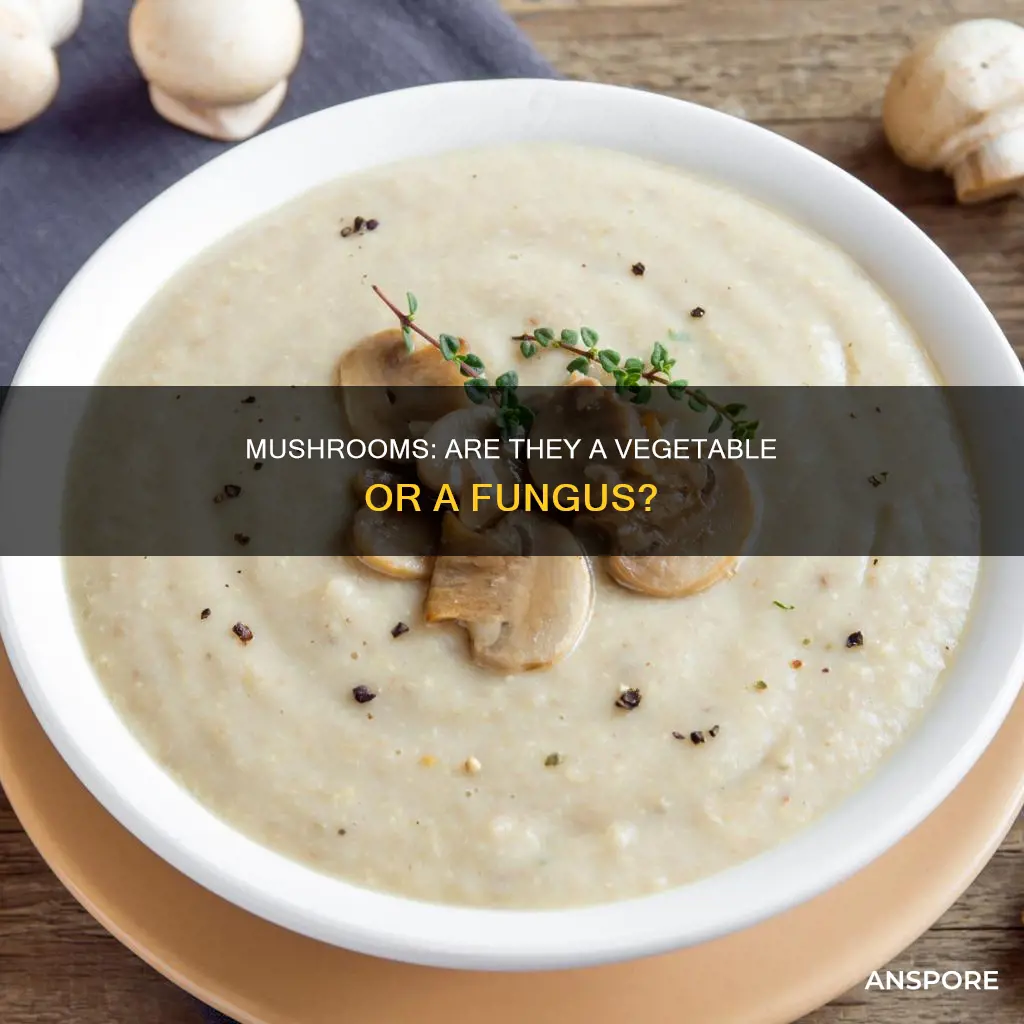 what food group is mushroom