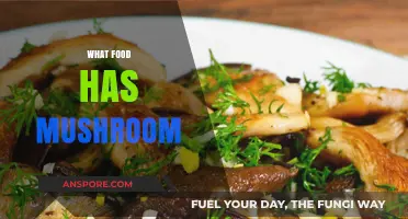 Mushroom-Centric Meals: Delicious Dishes Featuring Fungi